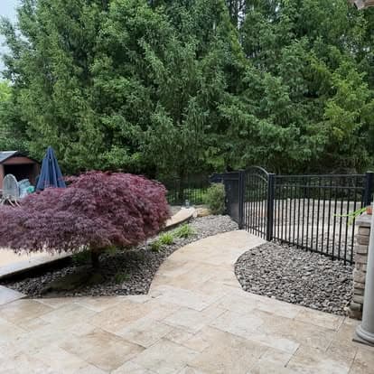 Landscaped backyard with a red maple tree, stone path, and lush greenery.