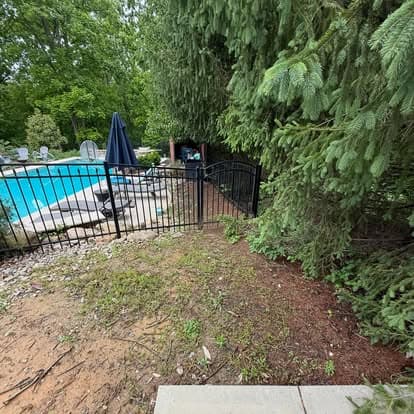 Black fence leading to a pool area surrounded by lush greenery and lounge chairs.