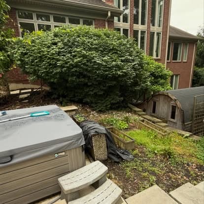 Backyard scene featuring a hot tub, lush greenery, and a wooden shed.