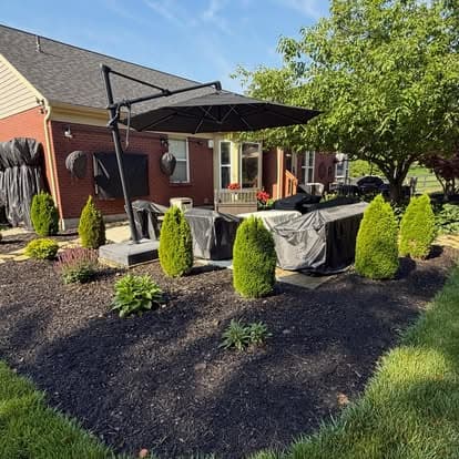 Backyard patio with black umbrella, landscaped garden, and manicured hedges.
