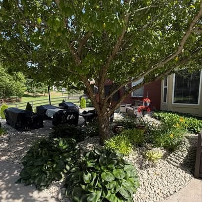 Lush outdoor garden with seating under a tree, featuring green plants and decorative elements.