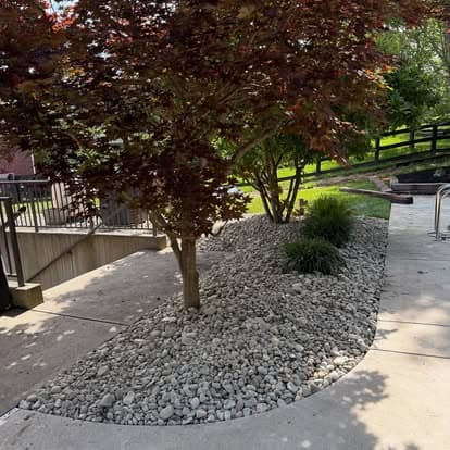 Landscaped area with a Japanese maple tree and decorative gravel beside a patio.