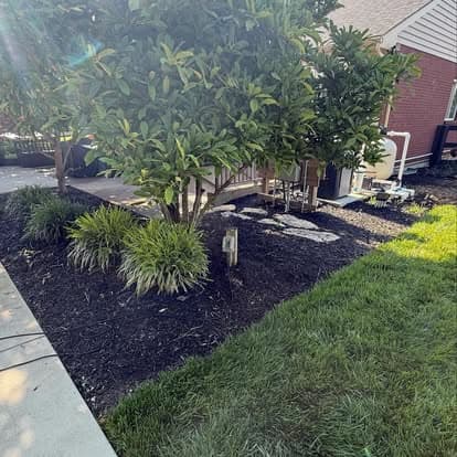Lush garden landscape with green grass, plants, and a patio in a residential setting.
