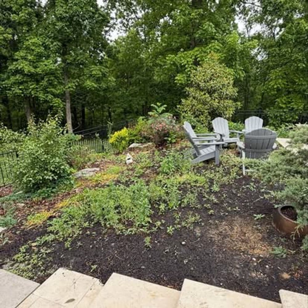 Backyard Landscape Bed Cleanup and Refresh in Florence KY image
